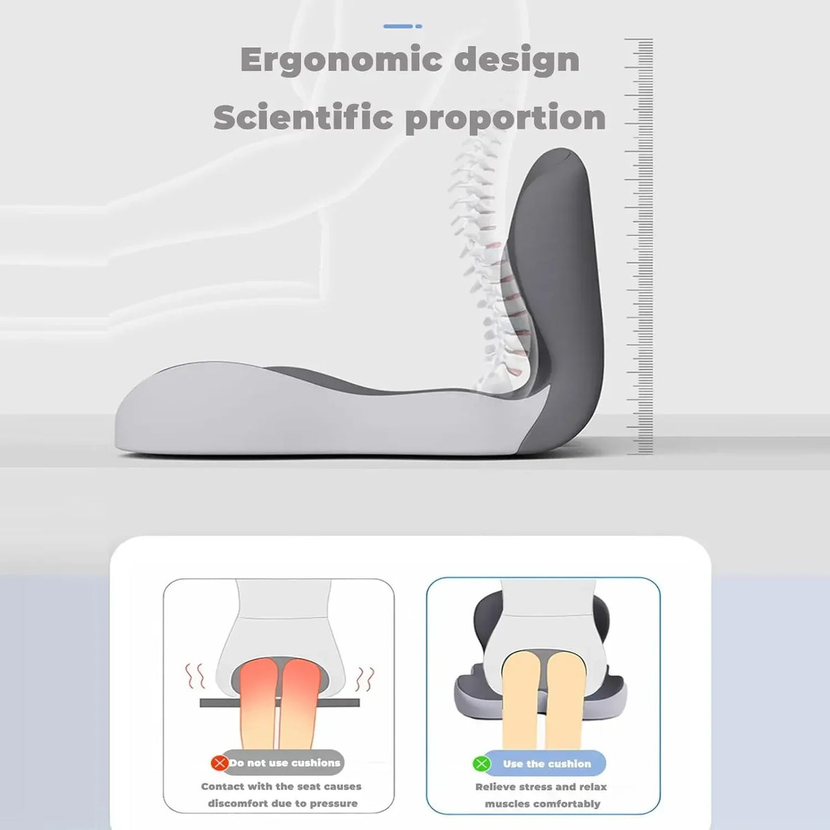 Ergonomic Lumbar Back Support Seat Cushion