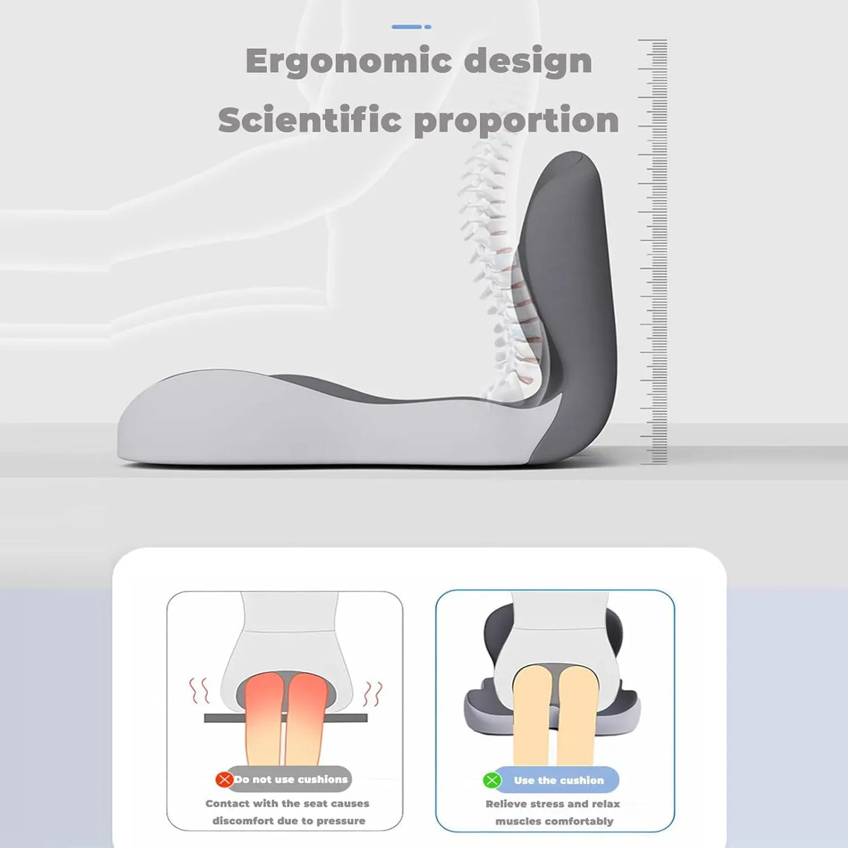 Ergonomic Lumbar Back Support Seat Cushion